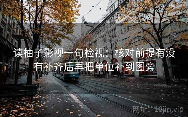 读柚子影视一句检视：核对前提有没有补齐后再把单位补到图旁