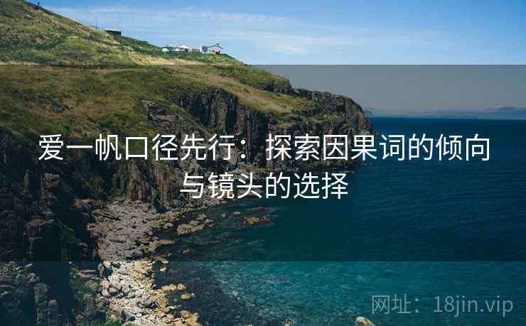 爱一帆口径先行：探索因果词的倾向与镜头的选择